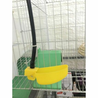 Com bo 5 máng bán nguyệt cho chim cút. Cu gáy. Bồ câu