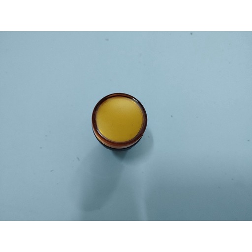 Đèn Báo Pha Phi 22 220V AC