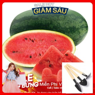 Hạt Giống Dưa Hấu F1 -10 Hạt / Gói - Tặng Kèm Bộ Dụng Cụ Trồng Cây Mini