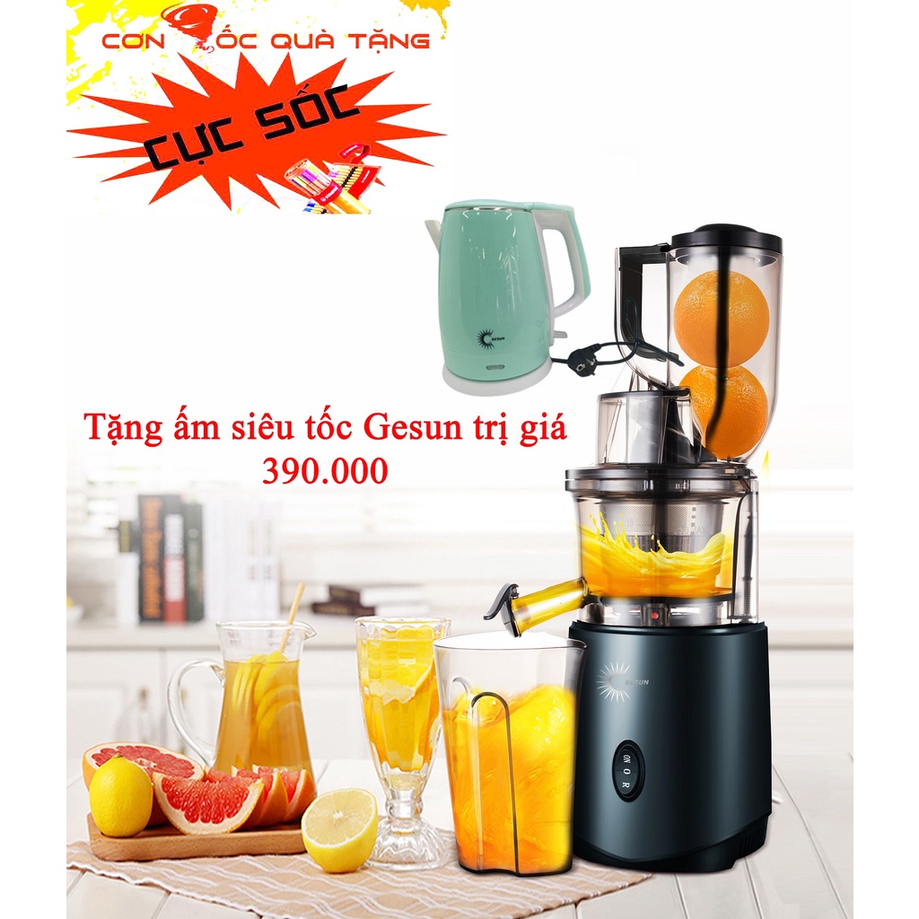 [TẶNG KÈM ẤM SIÊU TỐC GESUN]Máy ép chậm chính hãng Gesun G500 - ép hoa quả, trái cây, rau củ , bảo hành 24 tháng