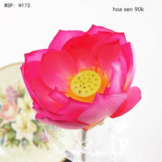 Hoa Sen Lụa Cao Cấp