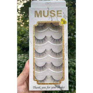 Lông Mi Muse