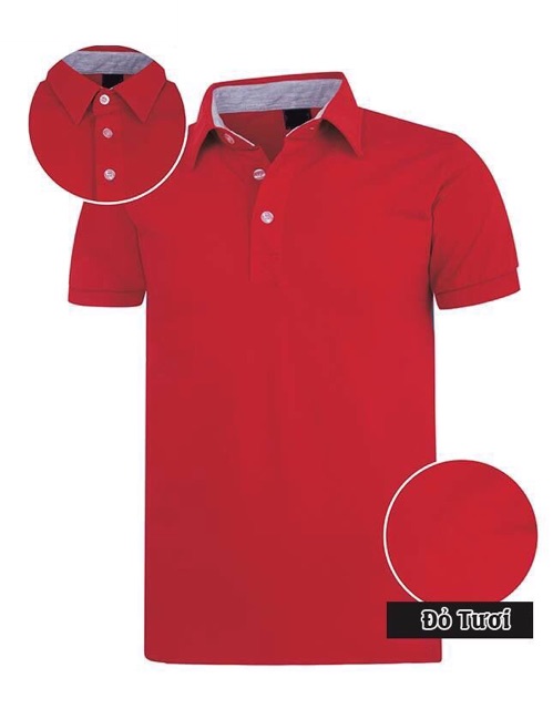 [Free ship] combo áo thun cá sấu nam ( ib chọn màu size ) | BigBuy360 - bigbuy360.vn