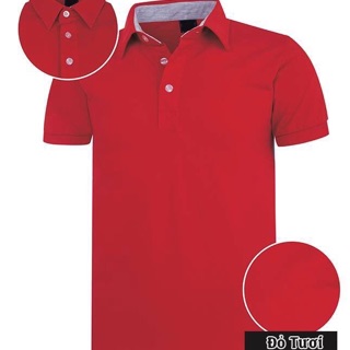 [Free ship] combo áo thun cá sấu nam ( ib chọn màu size )
