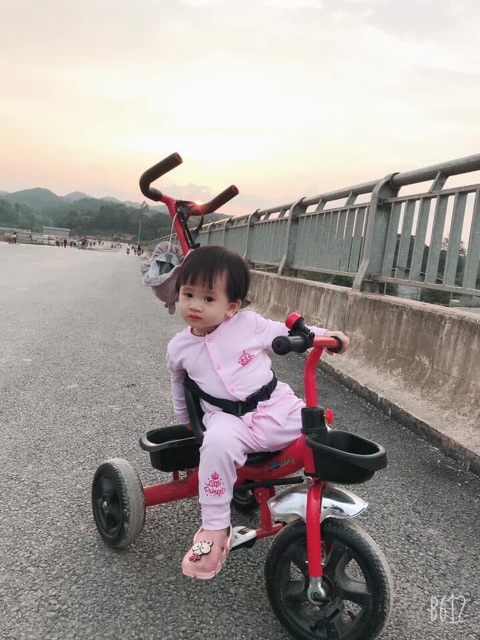 [Rẻ vô địch] Bộ dài tay thu đông chất pettit momma baby