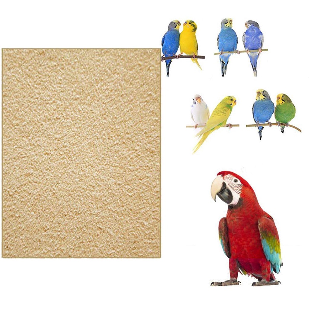 MOCHO Tấm Trải Giường Bằng Giấy Cứng Họa Tiết Chim An Toàn