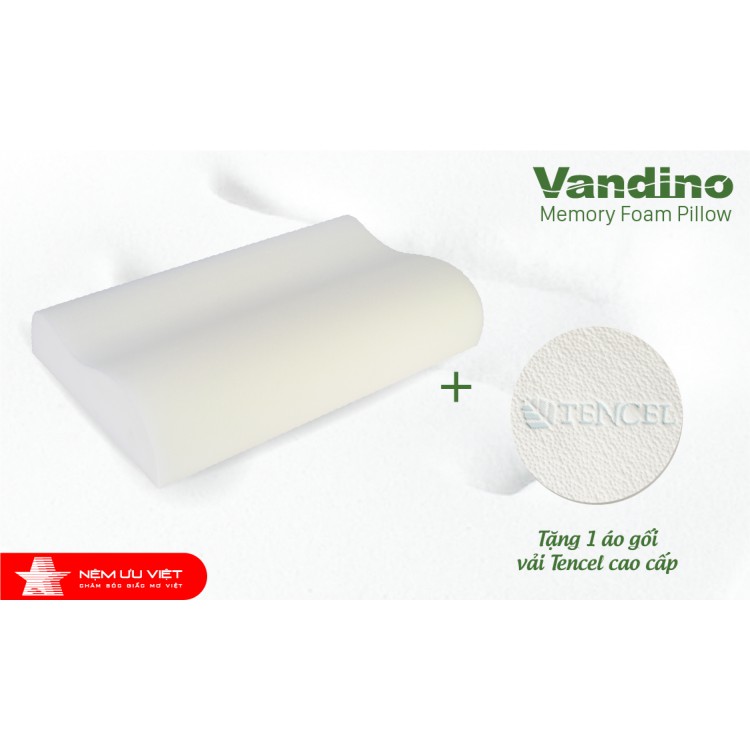 Vỏ/Áo gối dành riêng cho gối Memoryfoam KT 50*30*8/10cm - Vỏ tencel