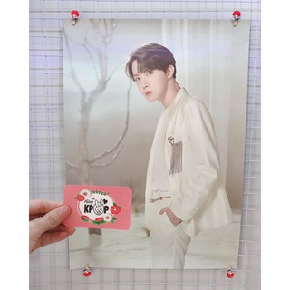 Poster Set BTS Official - Goods MOTS ( Có sẵn )