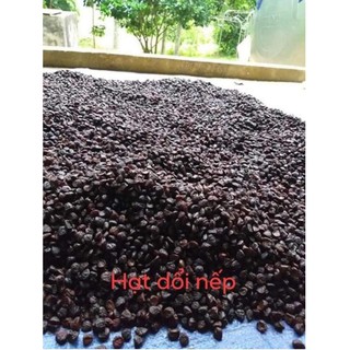 💥 HẠT DỔI NẾP