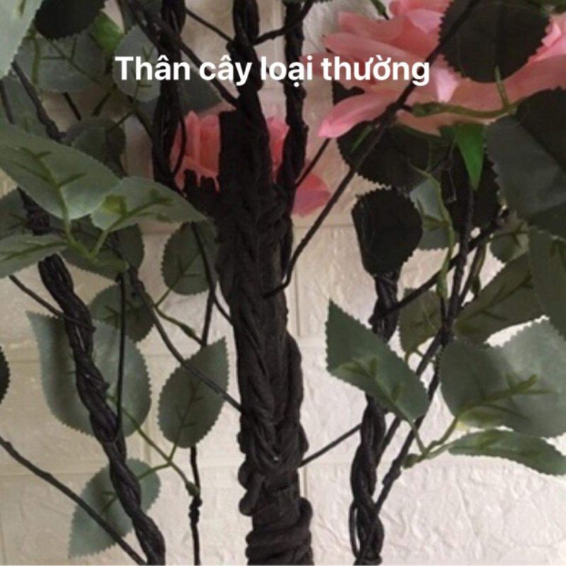 Cây hoa Hồng giả - Cây Hồng giả cổ bông lớn cao 1m loại 1
