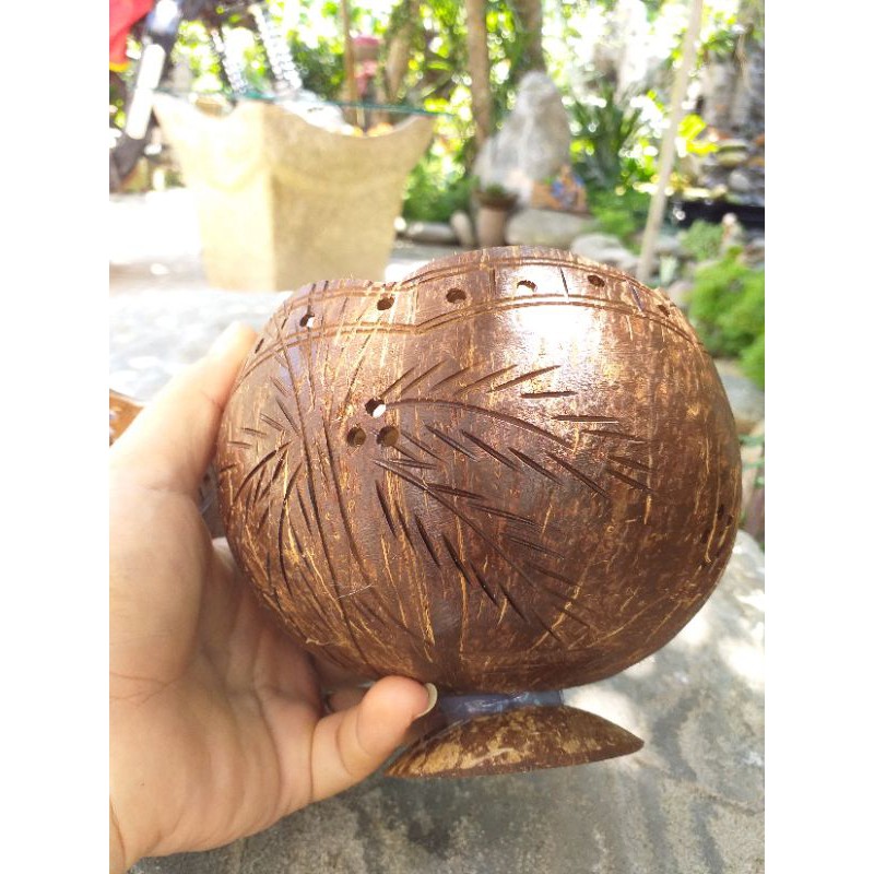 Chậu trồng cây được làm từ gáo dừa 100% thiên nhiên