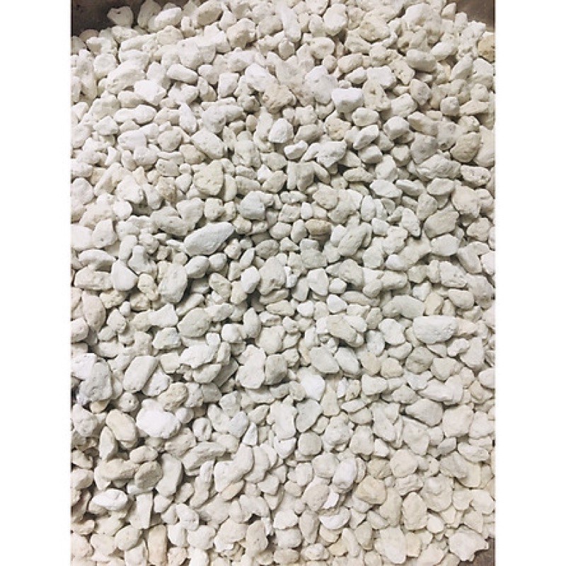 Nham thạch trắng 500gram Vật liệu lọc hồ cá giá rẻ