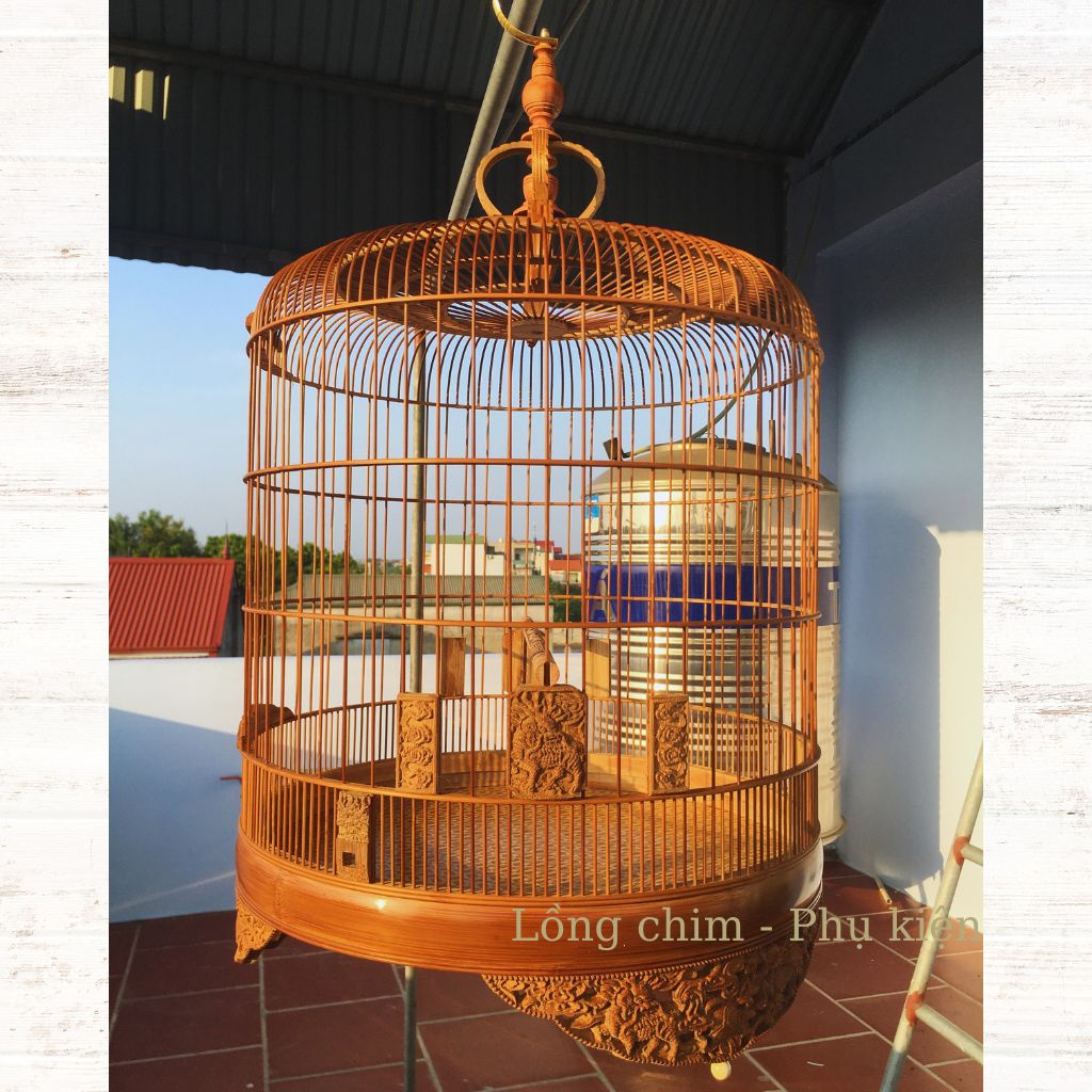 Lồng chim Chòe, Lồng chim Chòe trúc già họa tiết đẹp