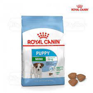 thức ăn chó royal canin mini 800g