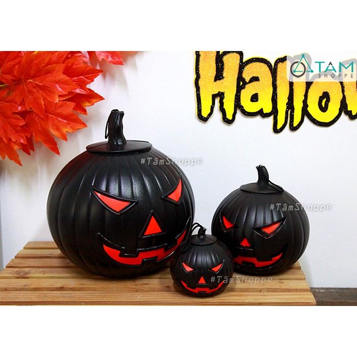 TRÁI BÍ NGÔ TRANG TRÍ HALLOWEEN