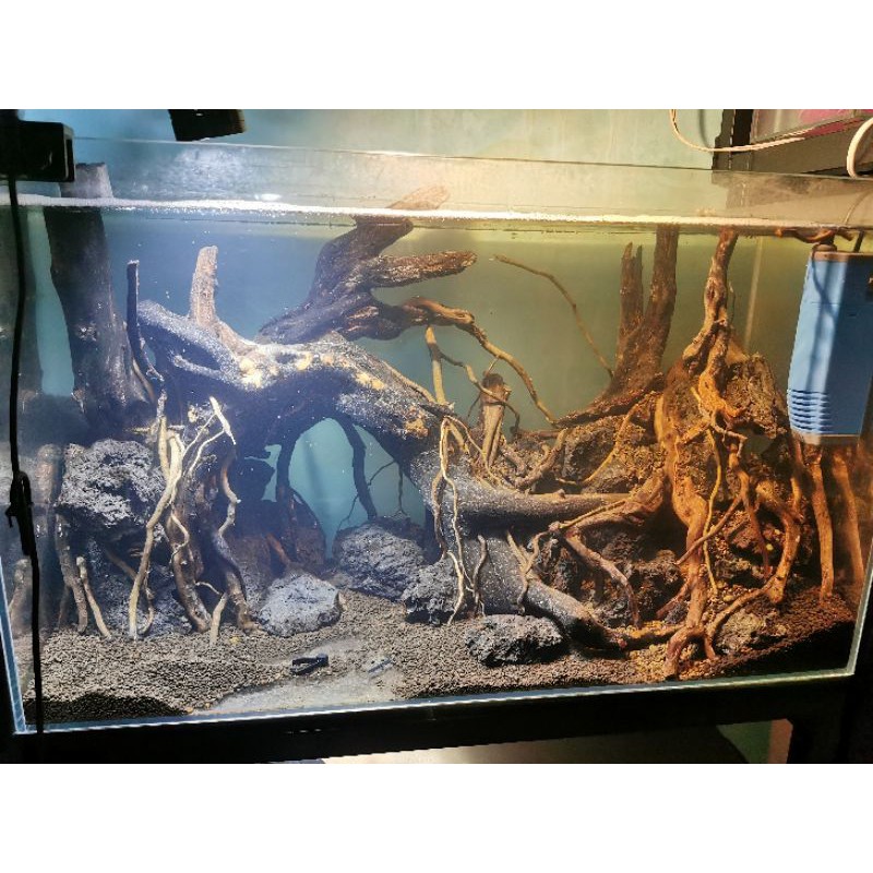 Đèn led rọi 3w 5w 7w trắng / vàng cho bể biotop cá cảnh thủy sinh