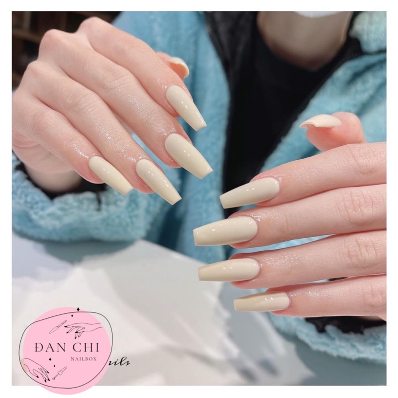 Nailbox Móng Úp Thiết Sẵn Mẫu Sơn Trơn