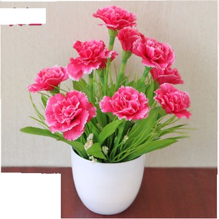 Chậu hoa để bàn xinh xắn