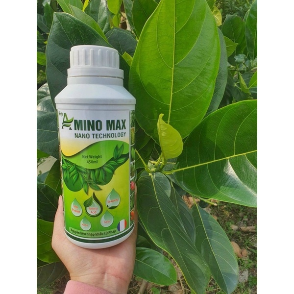 Combo 1 chai Amino Max +1 chai Amino Organic + 4 gói Combi Chelate