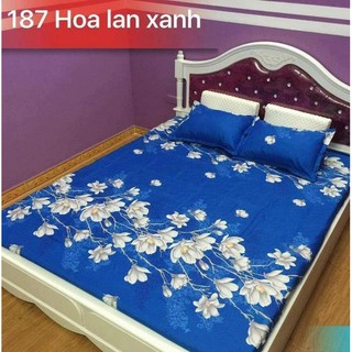 Bộ ga gối cotton nhiều mẫu