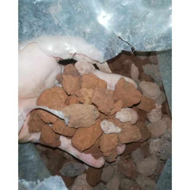 1kg Đá nham thạch đỏ