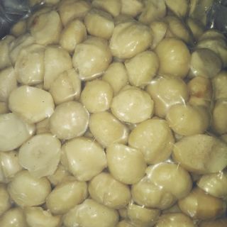 Combo nhân hạt macca, bột ca cao, gạo lứt