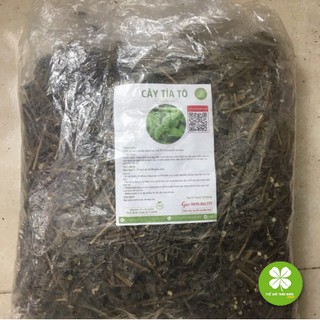 1kg Cây Tía Tô - OLF237