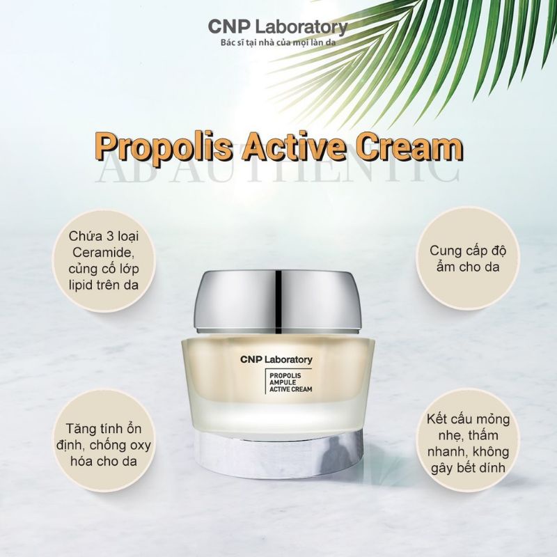 Sample kem Keo Ong CNP Siêu Tái Tạo Da Propolis Ampoule Active Cream 1,5ml