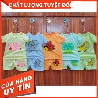 Combo 10 bộ cộc tay cotton dành cho bé gái/bé trai