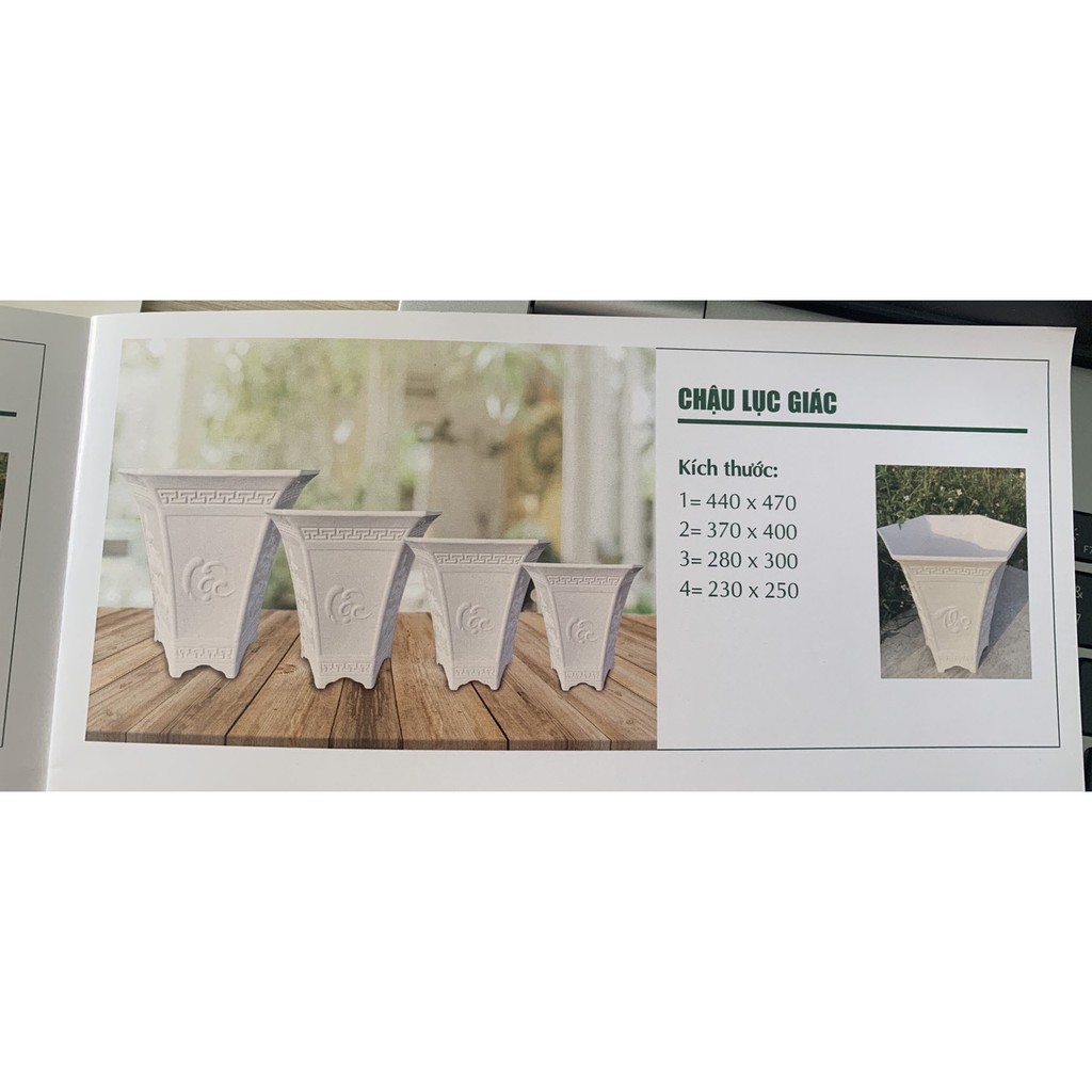 Chậu nhựa lục giác bông