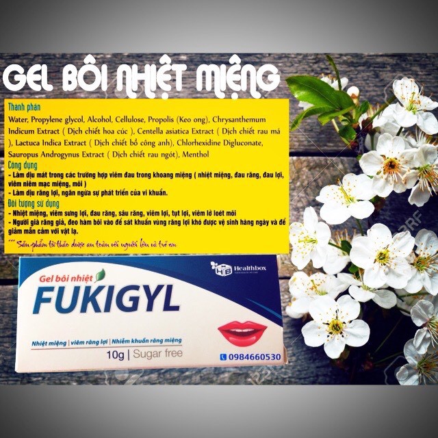 Gel bôi nhiệt miệng Fukigyl tuýp 10g