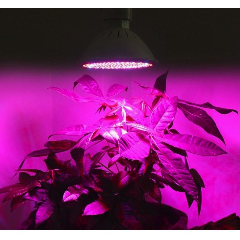 Đèn trồng cây, Đèn led trồng rau trong nhà, Led grow lights (28W, E27)