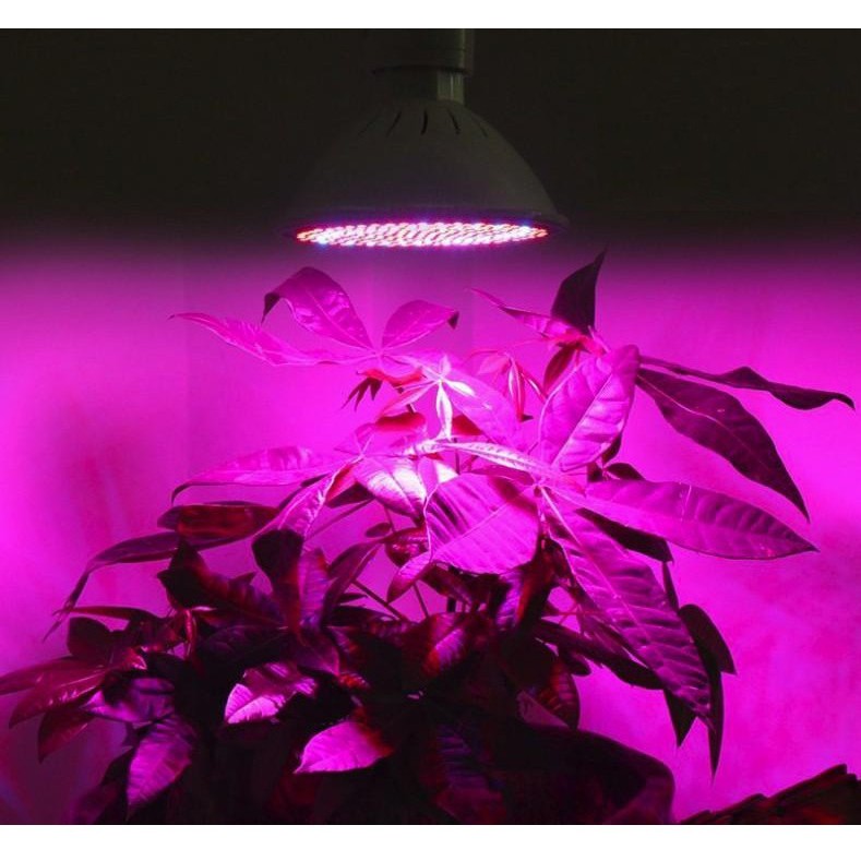 Đèn trồng cây, Đèn led trồng rau trong nhà, Led grow lights