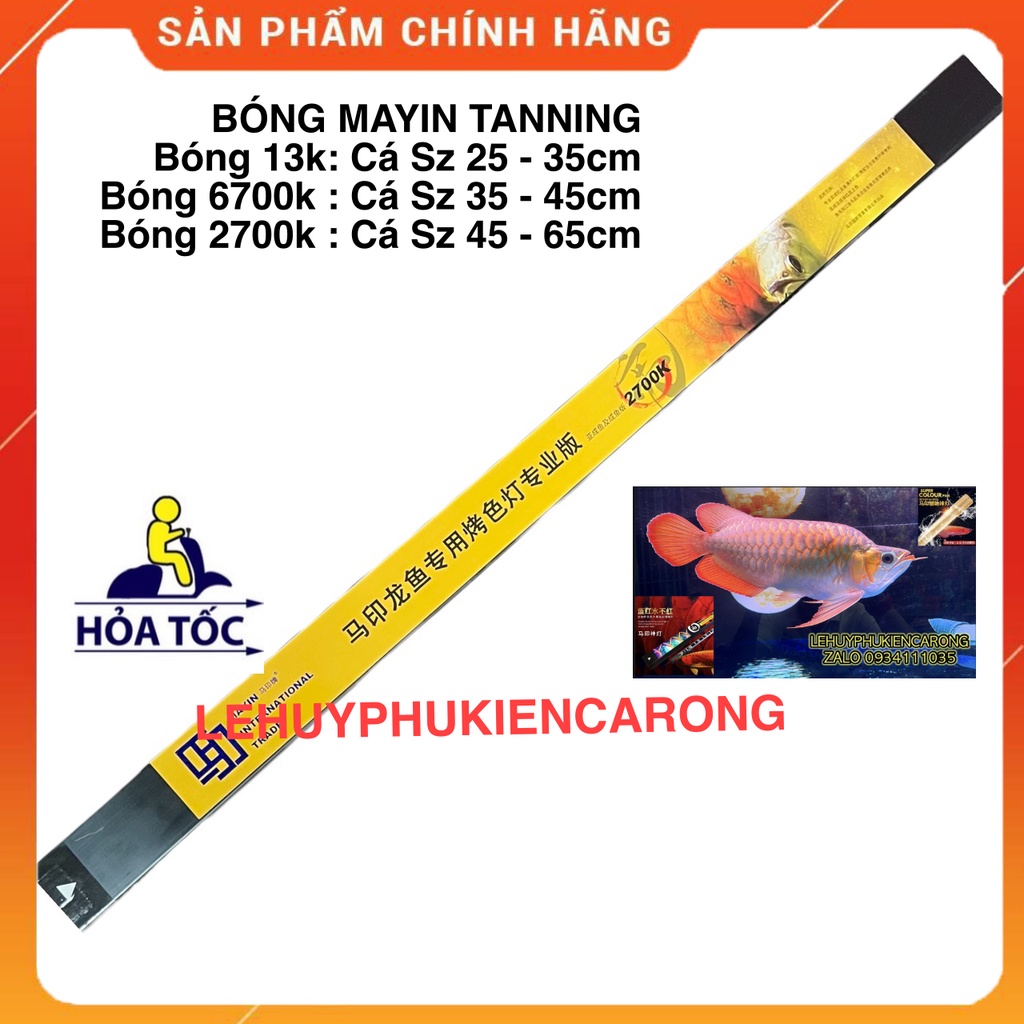 Đèn Bể Cá Chuyên Dụng Tanning Cho Cá Rồng Huyết Long Và Bối Vàng Bóng T5 13000k, 6700k, 2700k Thương Hiệu MAYIN