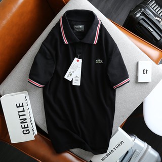 Áo Polo Lacoste Viền Đôi Cổ và Tay Áo