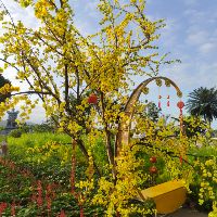 Shop Chuyên Sỉ Cafe Tạp Hoá