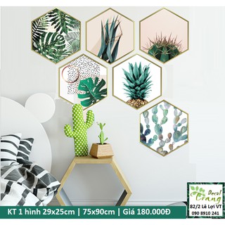 Decal Tranh lục giác Tropical