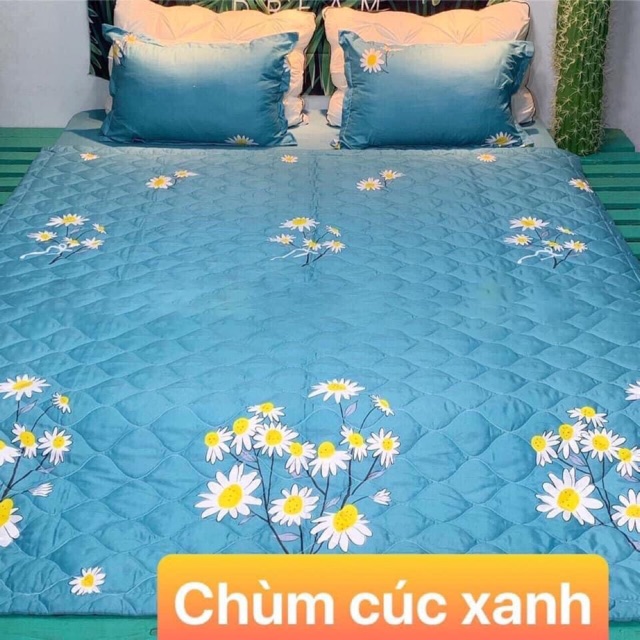 Bộ ga 4 món và 5 món