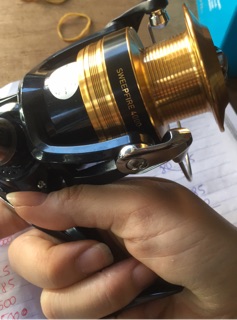 Máy câu cá daiwa strikeforce 4000-B