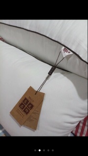 Ruột gối đầu Muji