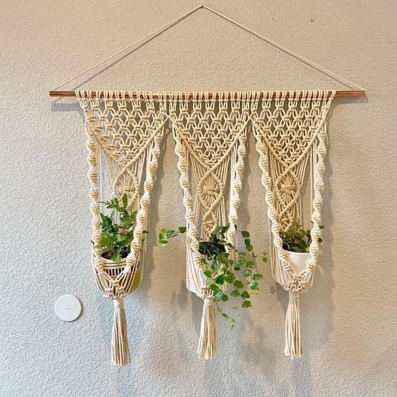 Mành treo cây thuỷ sinh Macrame
