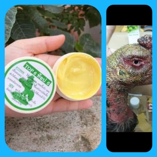 Cao tan đòn top 6 giúp gà nhanh lành vết thương sau đá