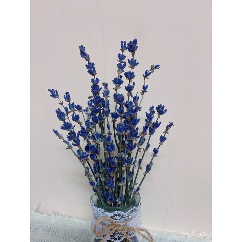 Bình hoa cổ ren Lavender/Oải Hương trang trí