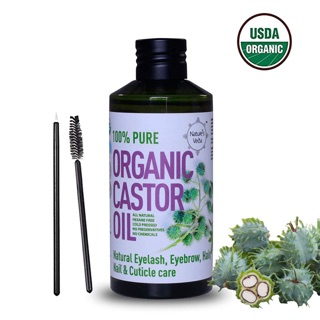 Chuốt dài mi, dưỡng tóc và móng Veda Castor Oil