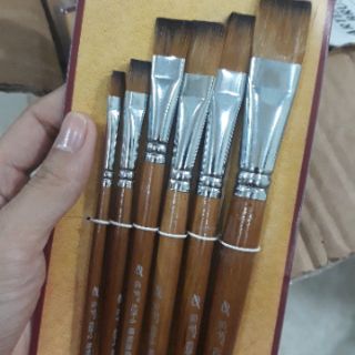 Set cọ vẽ ( set 6, set 12)