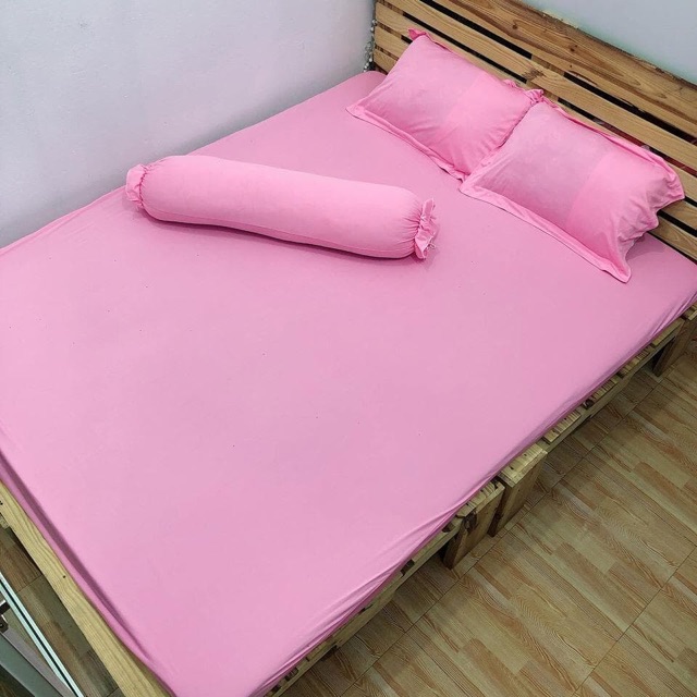Bộ ga giường thun Hàn Quốc basic - 4 món (nhiều màu)