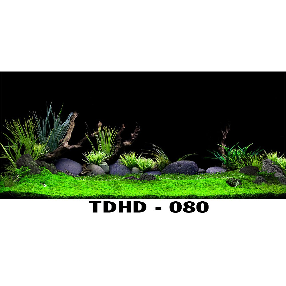 Tranh 3D bể cá mã TDHD-080 kt (60,80,90,100,1m2,1m5,1m6)