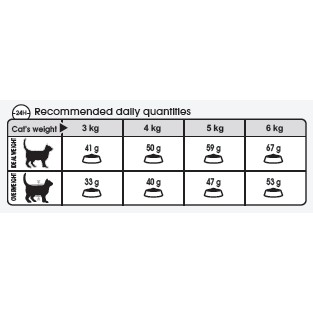 Hạt Thức Ăn Khô Cho Mèo Chăm Sóc Da Và Lông - Royal Canin Hair & Skin Care