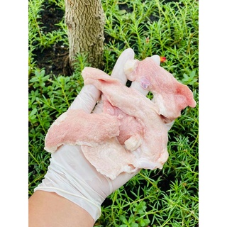 hộp 500gram VÚ HEO ƯỚP