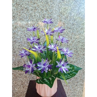 Hoa đồng tiền pha lê lấp lánh